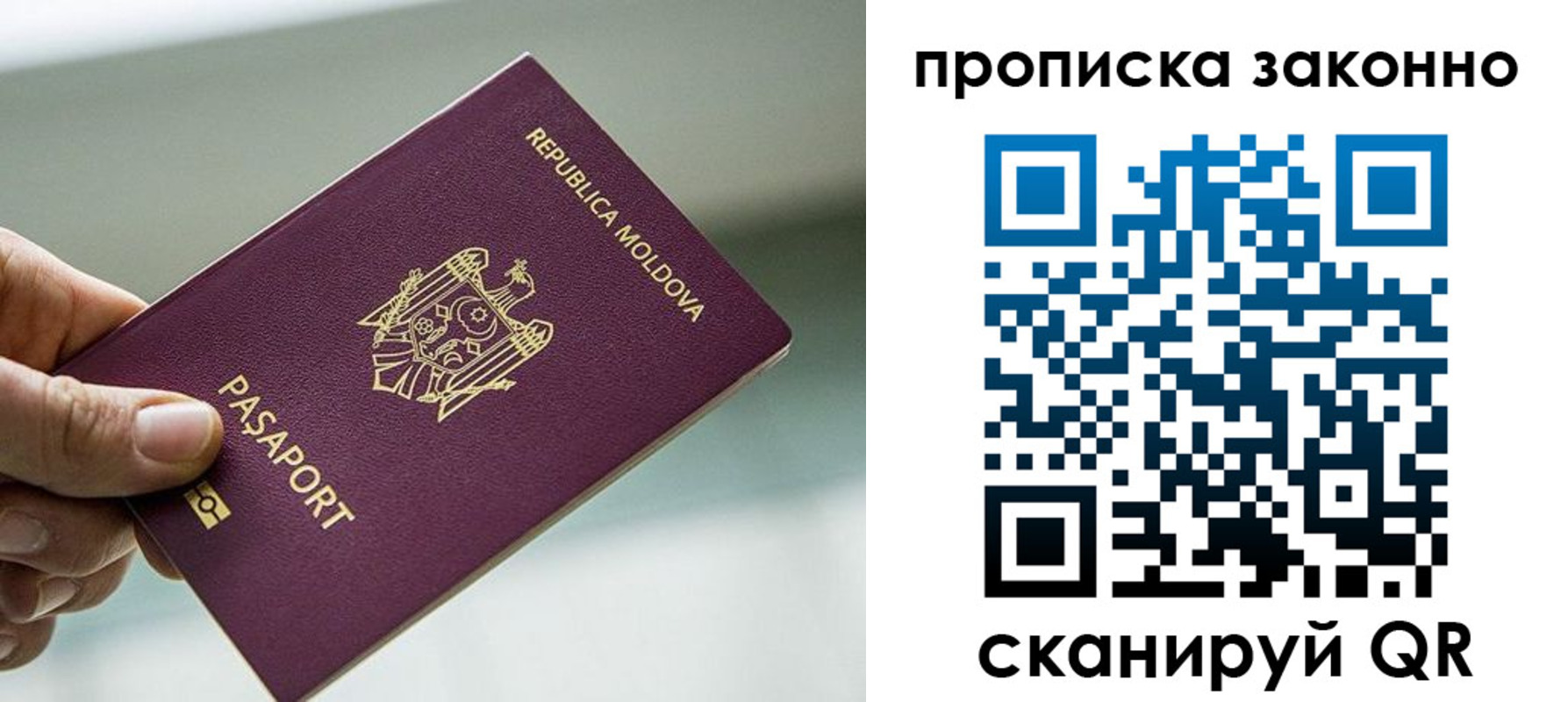 временная регистрация недорого в Алексине